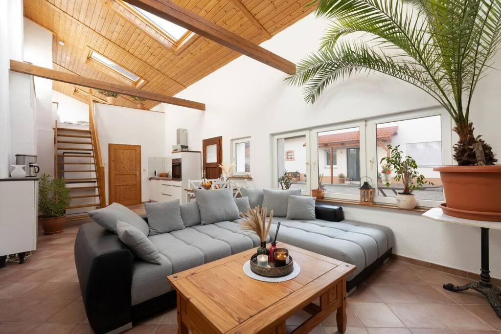 Helles Gaestehaus In St. Johann Sankt Johann  エクステリア 写真